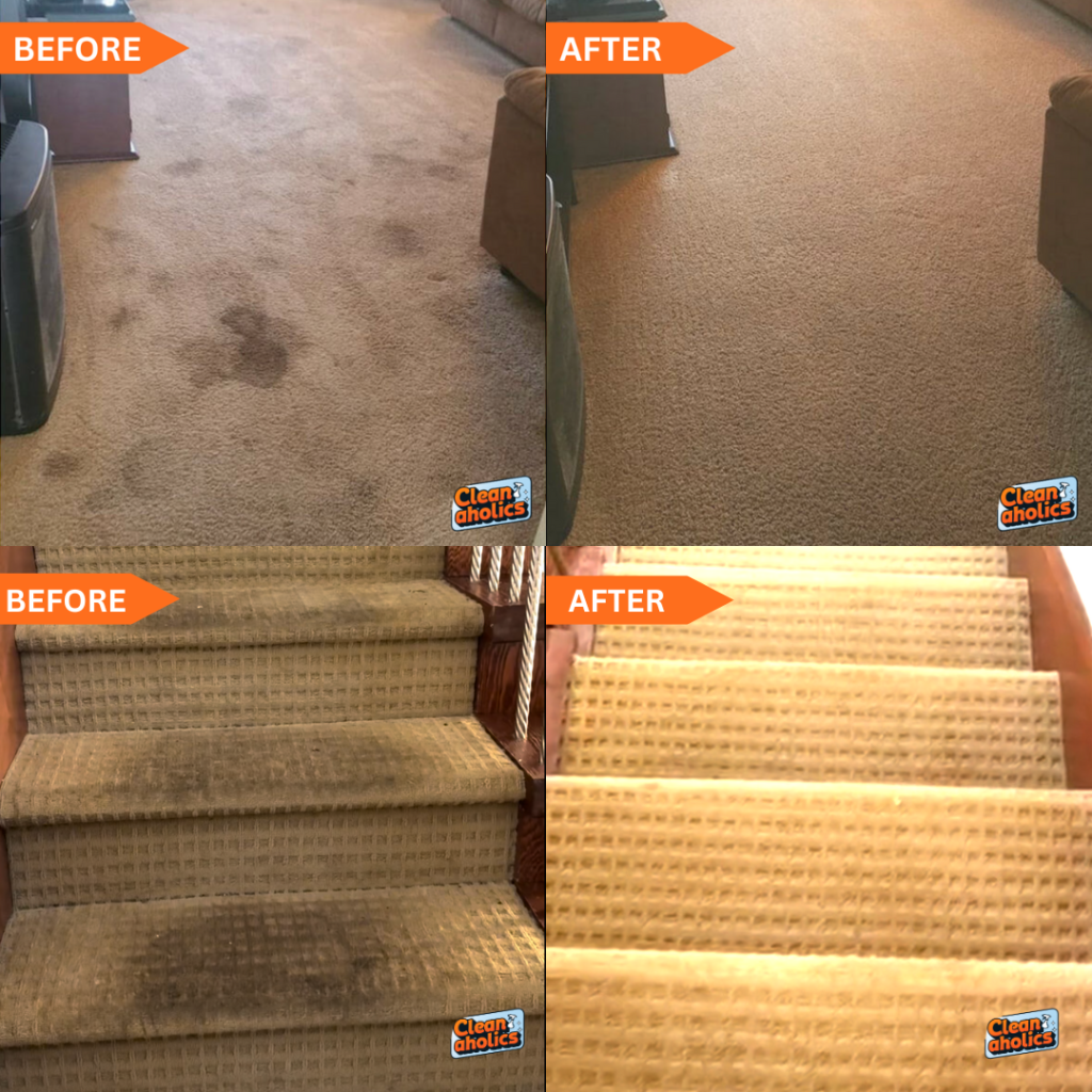 best carpet cleaning in vancouver